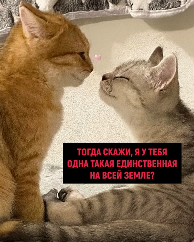 Любовь такая любовь😅