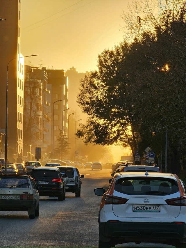 Последние лучи золотой осени ?
