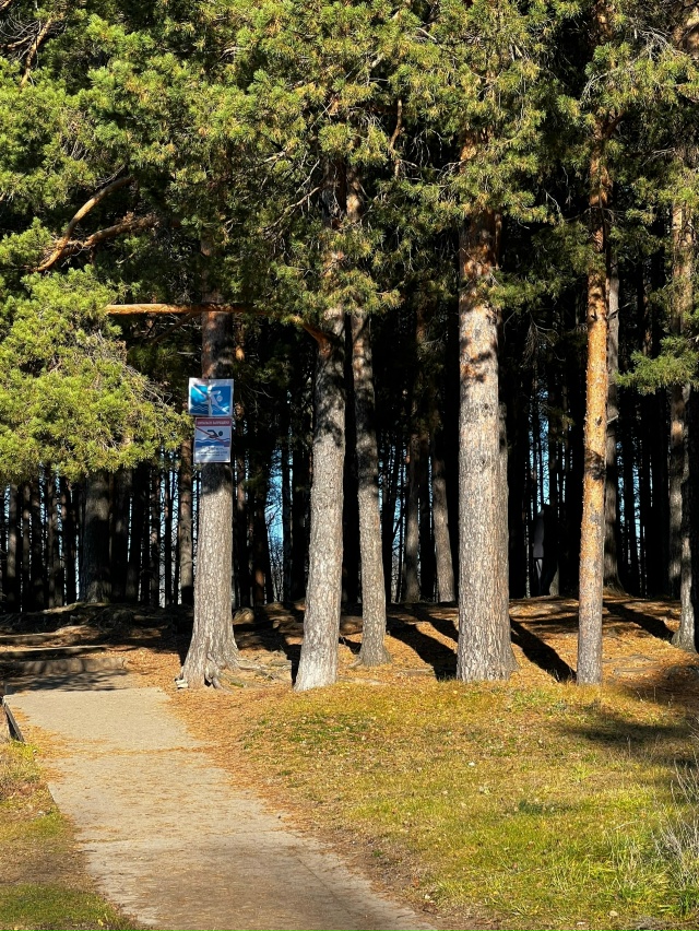 Сегодня выдался замечательный, солнечный денёк. Успел?...