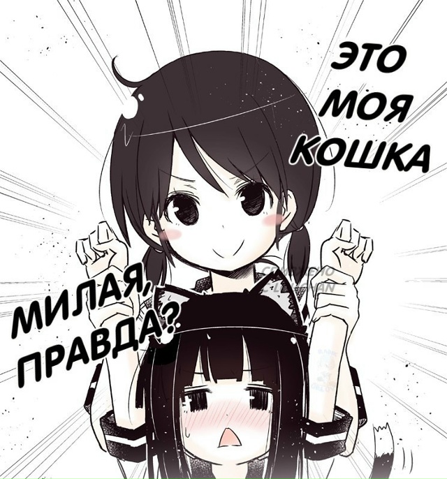 #Что_за_аниме