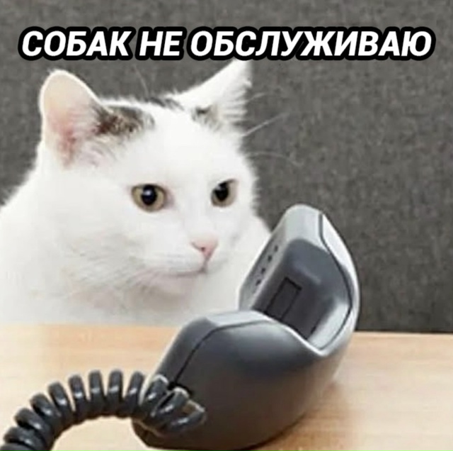 НУ это умышленная подстава