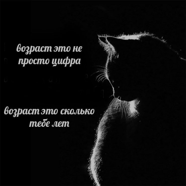 Ночная подборочка
Спать, режим