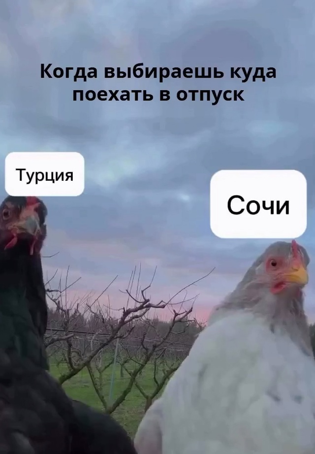 Это смешно, но правдиво...