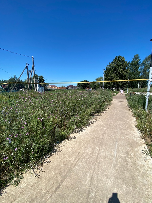Благоустройство с. Ташкиново
Детская площадка в Ташк...
