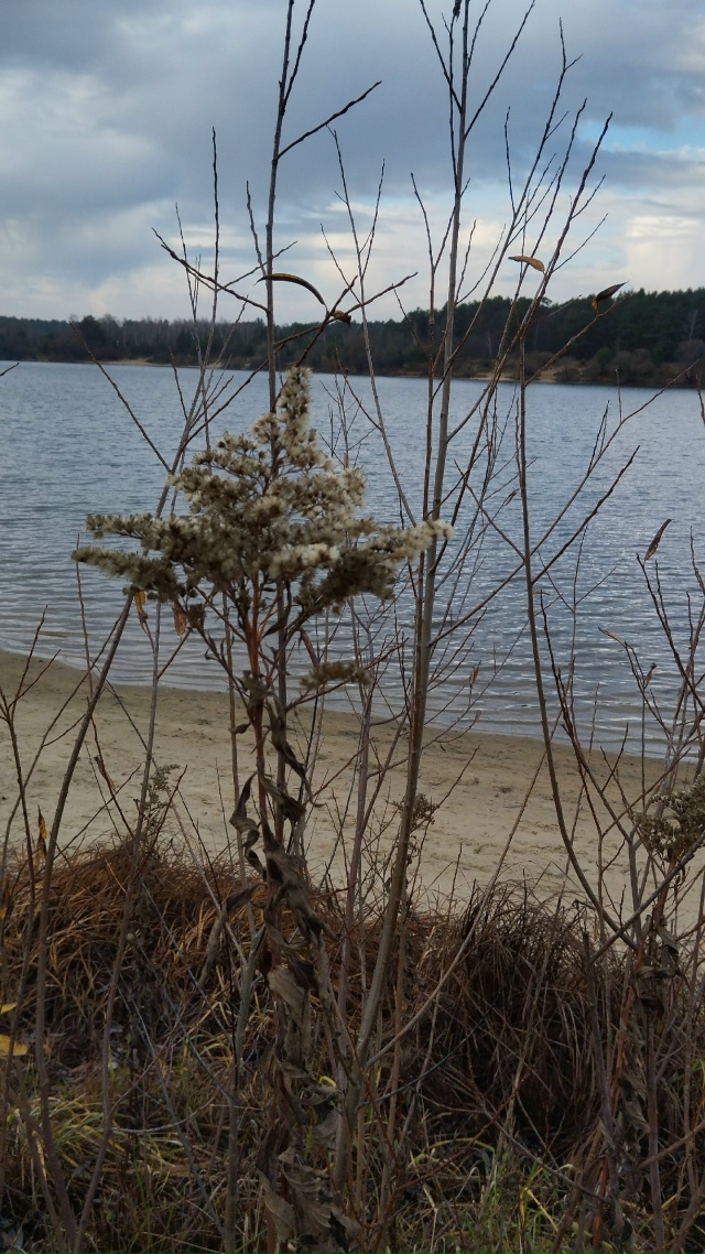 Сладкий ноябрь