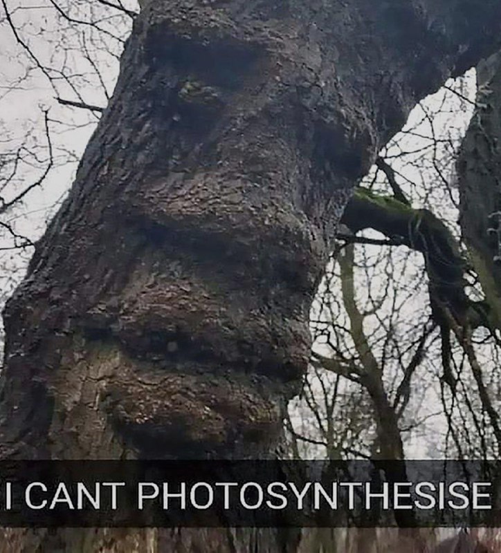 Ночная подборочка
Спать, режим