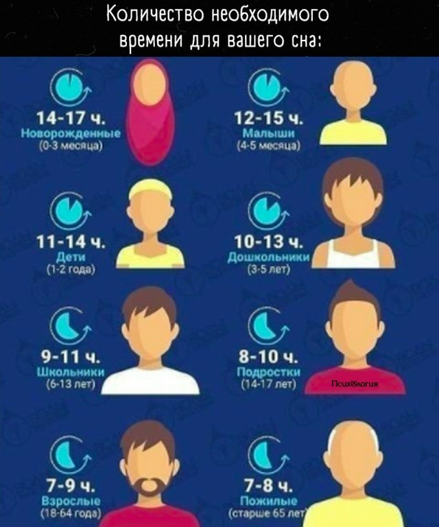 А сколько часов спите вы?