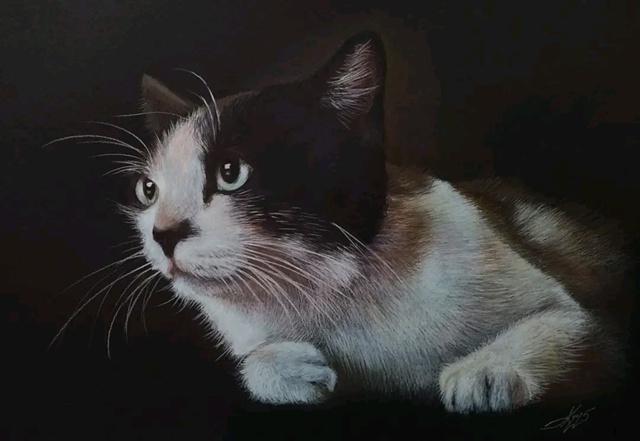 Евгений Карпенко