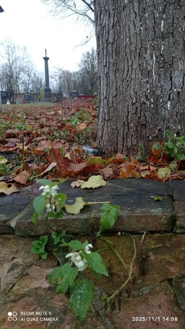 #КрасотыЛужскогоКрая