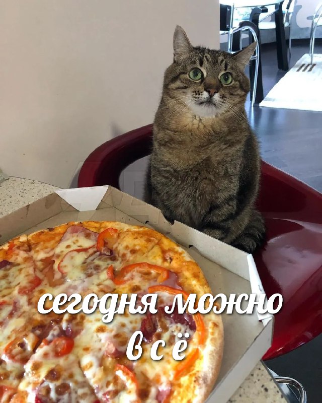 Сегодня отмечается день «Ешь всё, что хочешь». Он же «Праздник желудка».
В этот день каждый человек