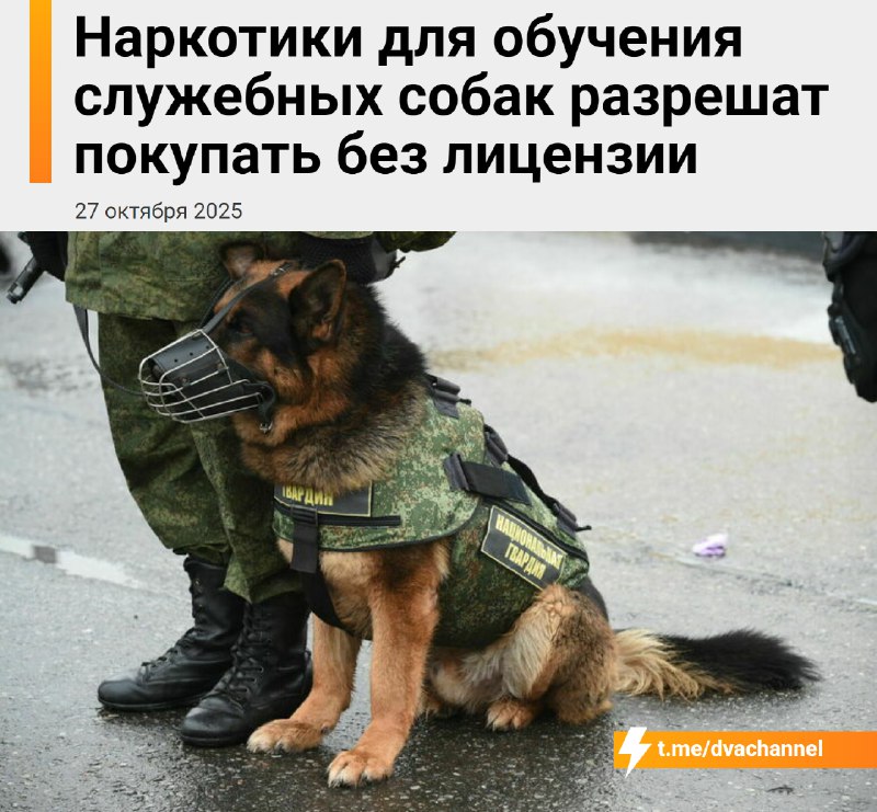 ⚡️В России легализовали кокаин и другие наркотики, но есть нюанс
С 1 сентября 2026 года МВД, ФСБ и