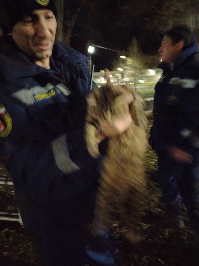 Огромное спасибо Пожарной части п. Уральский 