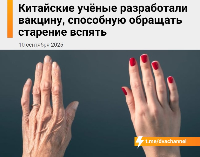 ‼️Старость В С Ё: китайские учёные создали вакцину, которая «откатывает» возраст на 7 лет.
В ходе э