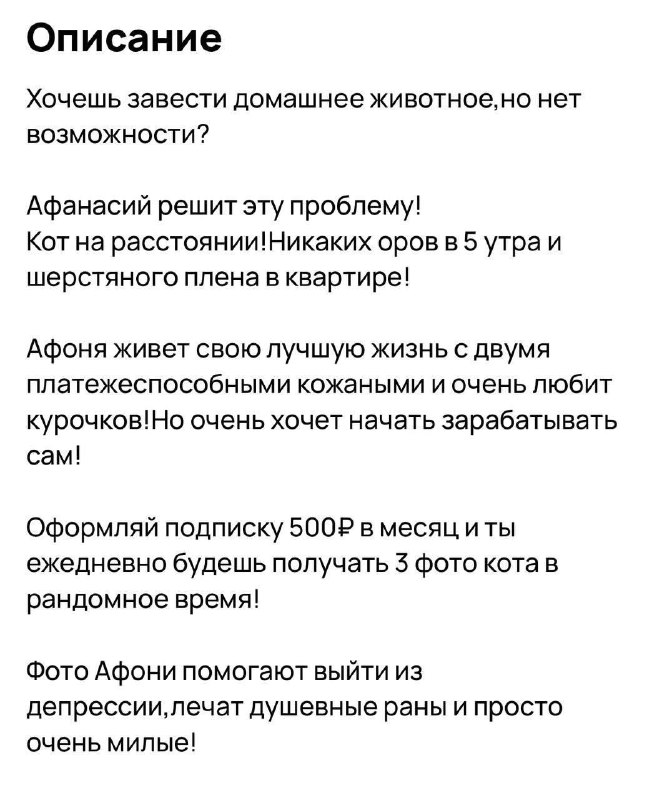 🐈 В Москве всё больше набирает популярность услуга «кот на расстоянии»
Владельцы животных предлагаю