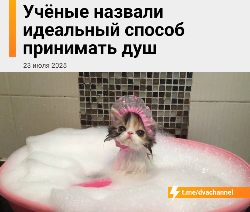 Горячий душ помогает справиться с бессонницей, говорят учёные
Лайфхак иногда работает даже лучше, ч