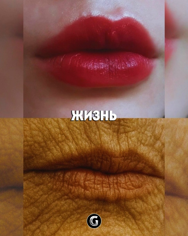 🌾Жизнь — это ограниченный ресурс, и каждое мгновение,...