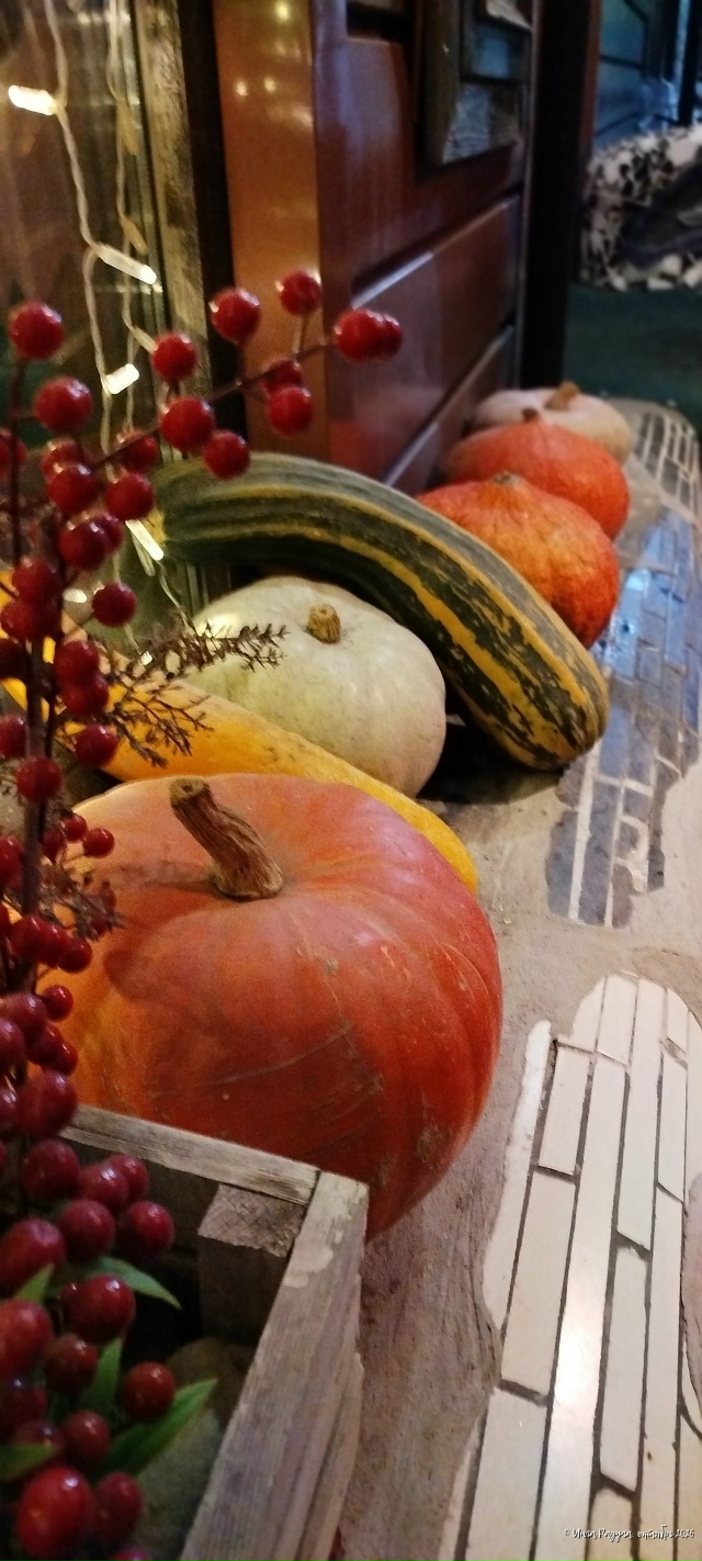 Дoбpoй нoчи, гopoд N!
Φoтo: Ингa Рaдугa