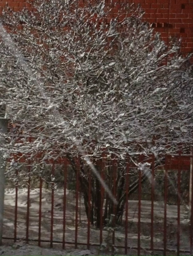 Екатеринбург засыпало снегом.
Делитесь кадрами зимне...