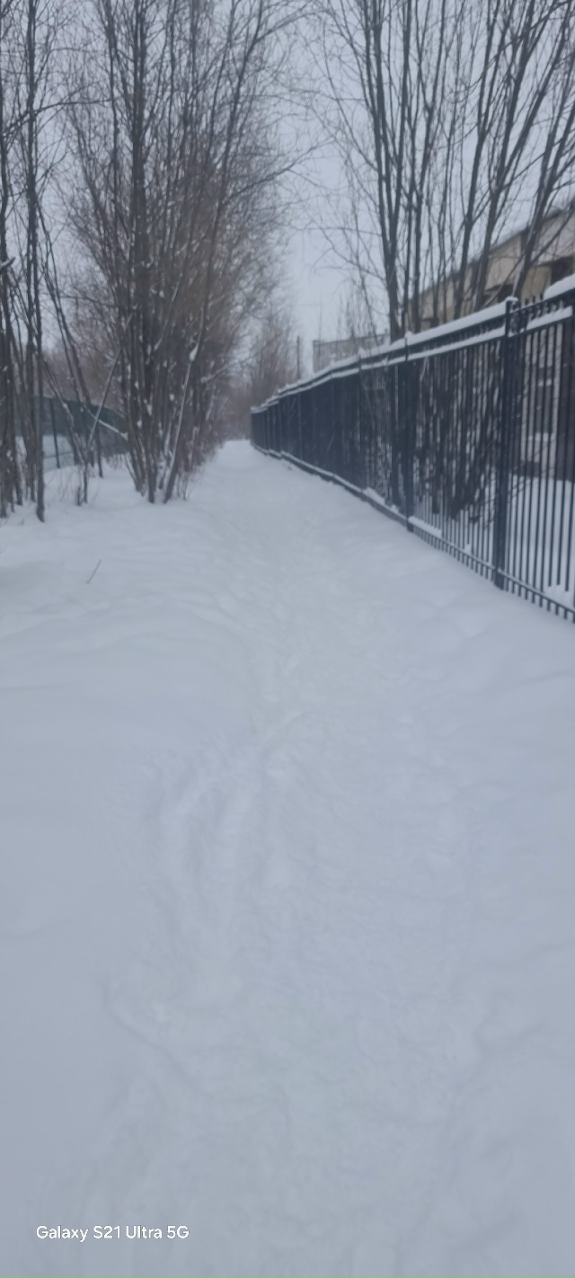 Хотелось бы узнать у градоначальников
1) когда тропинк?...