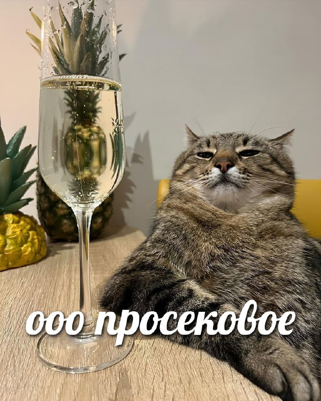 Сегодня отмечается День вина «Просекко»
С планами на вечер определились