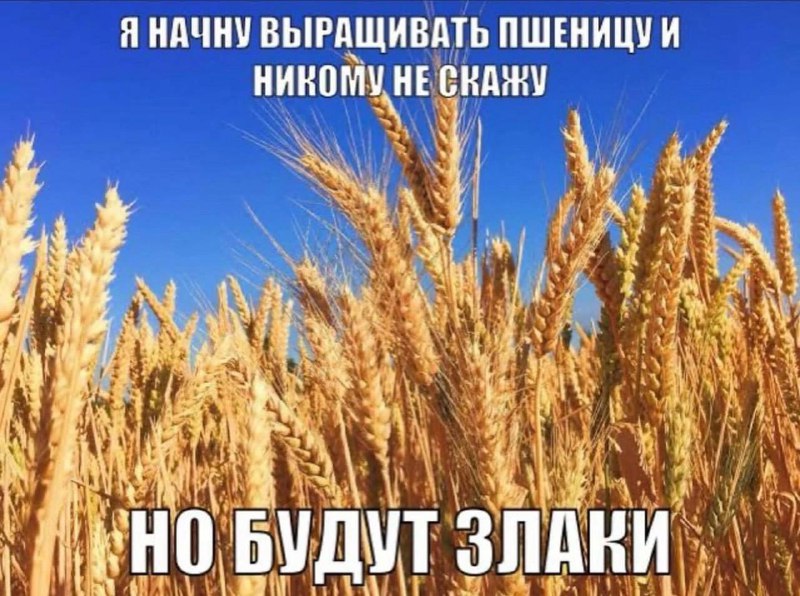 Утренняя подборочка