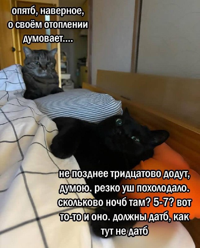 Утренняя подборочка