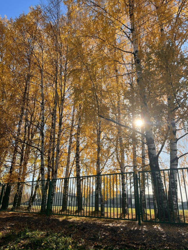 Золотая осень в Вельске 💛
Анон
#Я_тебя_видел@podslushano_velsk