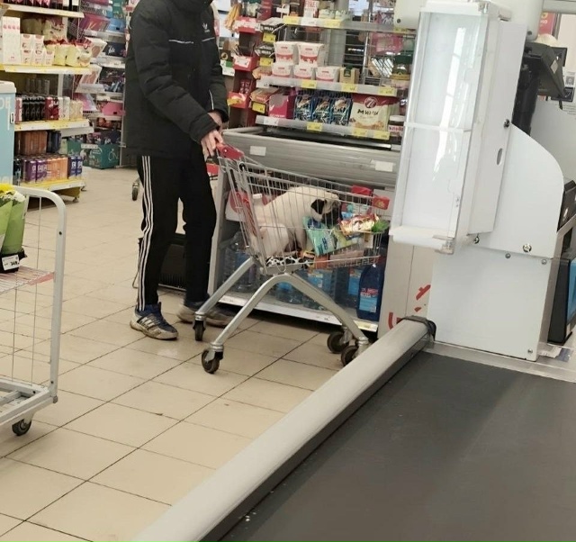 И о чём только люди думают, когда в тележку для продукт?...