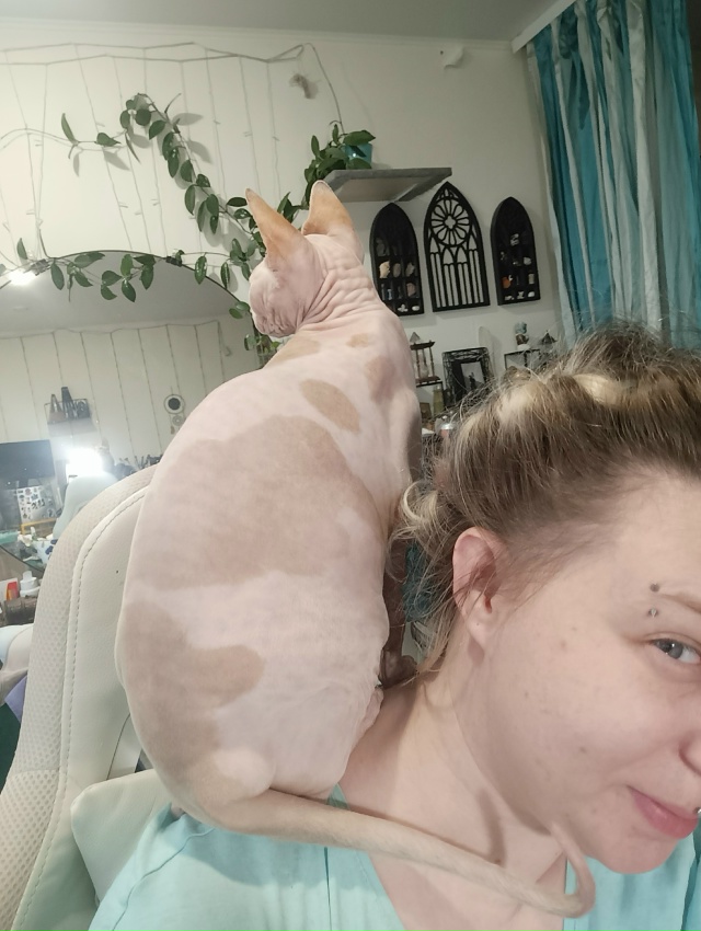 Всратые дети: Хром и Лапочка. Если Хром свой интеллект ?...