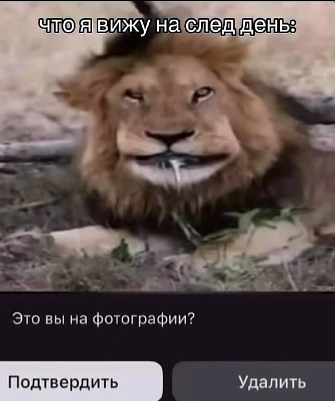 «да просто сфоткаемся с коллегами разок, они не выложат»: