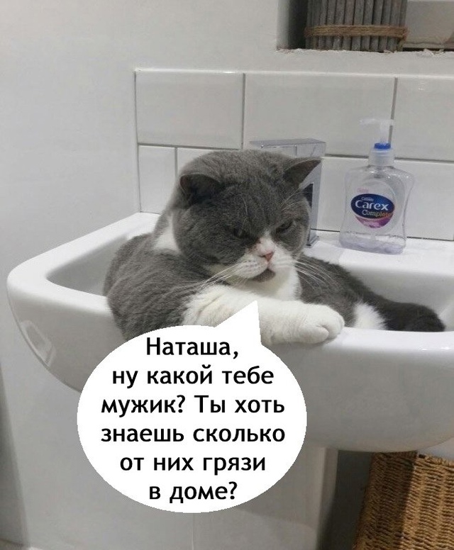 Вот именно, не морочь голову😅