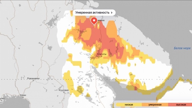 Аллергенная обстановка в Мурманской области
В Мурман?...