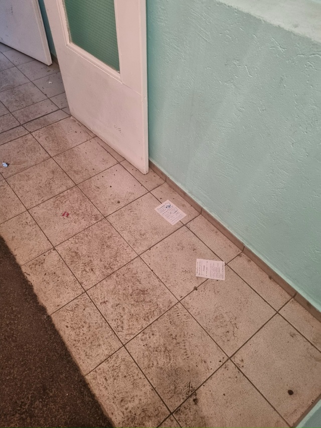 Светлая 11. Уже не знаю сколько такие полы