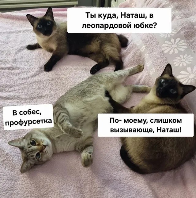 Те еще советчики😅