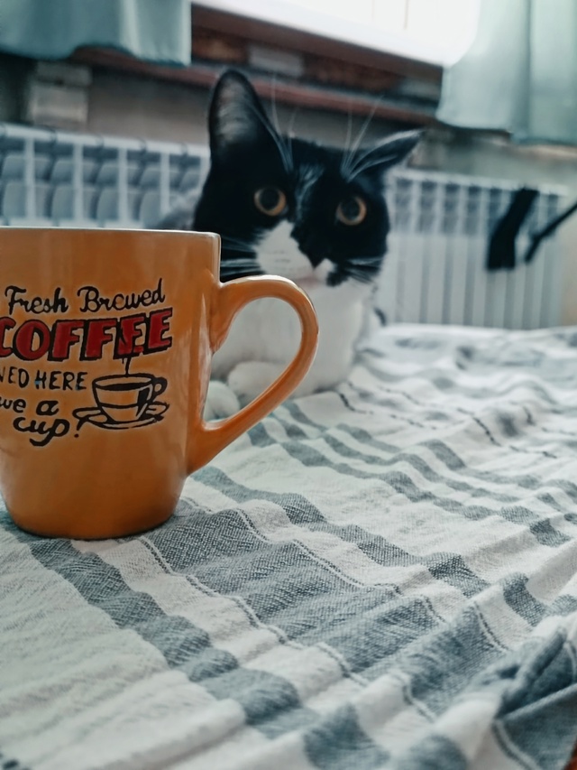 Кофейку не нальёте?