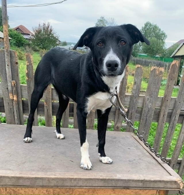 Что такое происходит 😳?
Мимо Кнопы все проходят,
А она ...