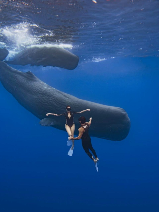 Тимати, Ратмир, Валентина и гигантские киты — невероят...