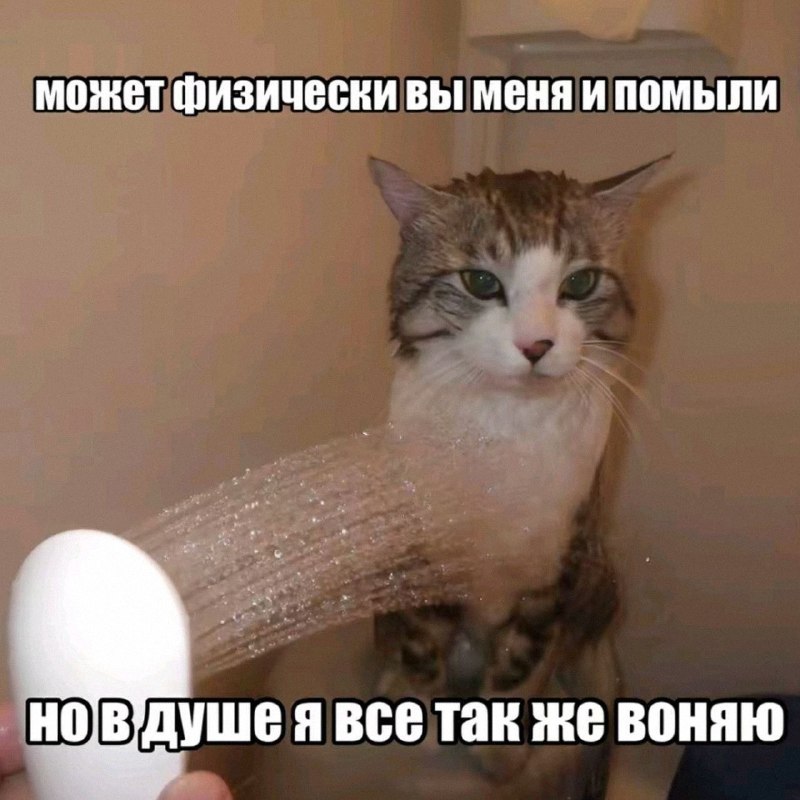 Утренняя подборочка