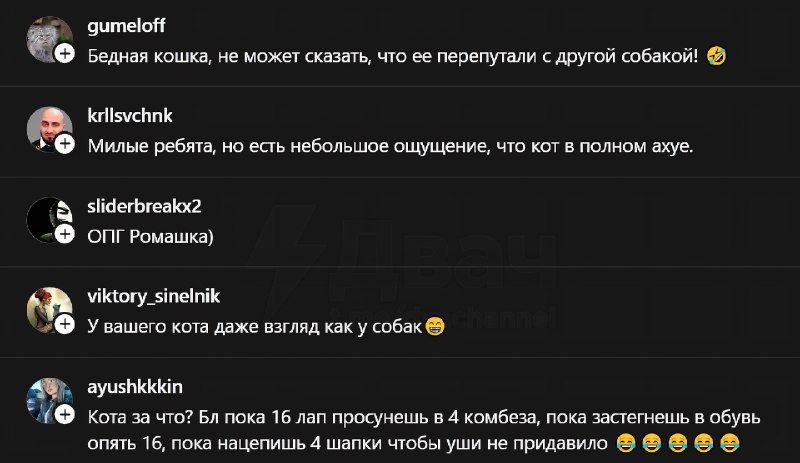 Когда наврал на собеседовании, но тебя всё равно приняли