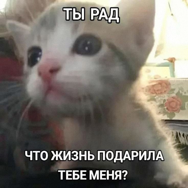 Утренняя подборочка