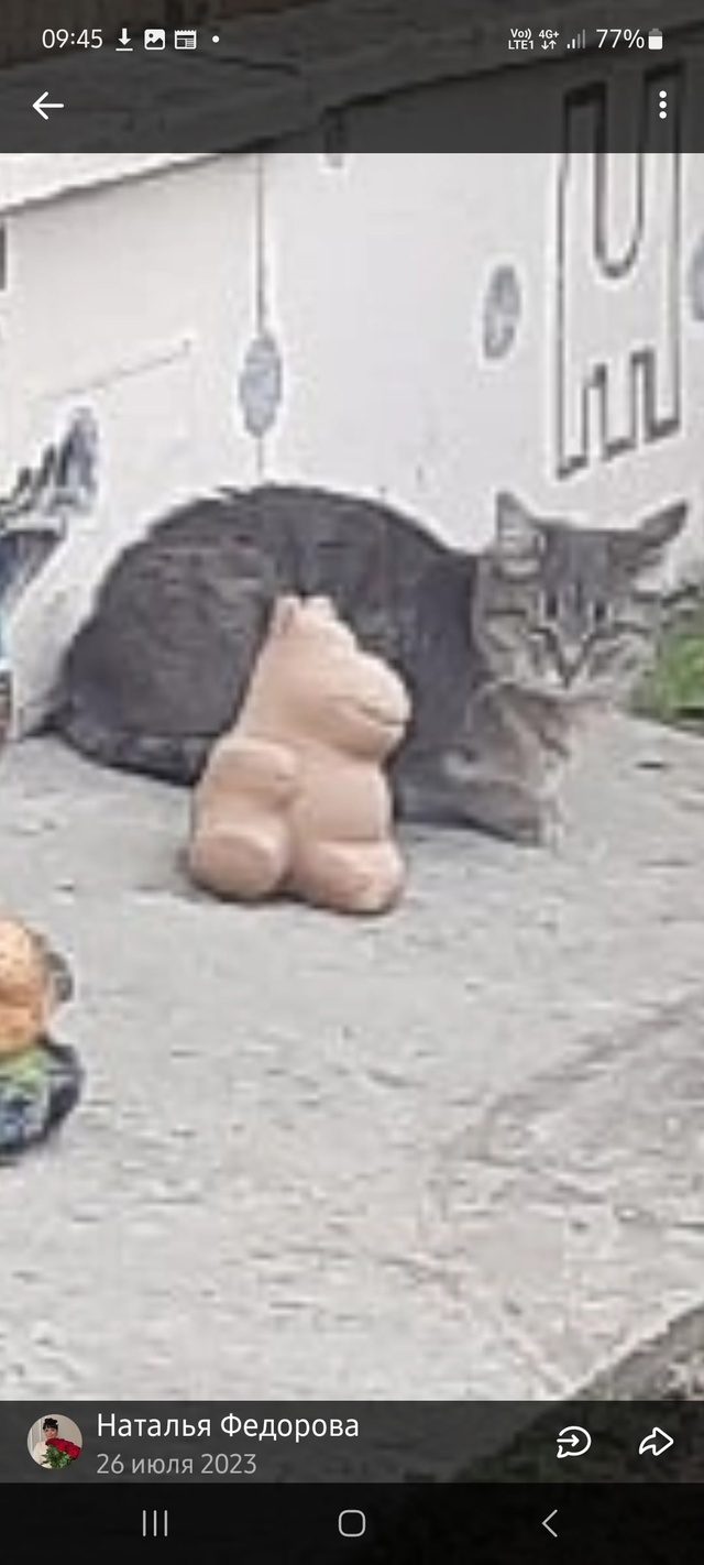 Потерялась кошка на ул.Калинина,худенькая маленького ?...