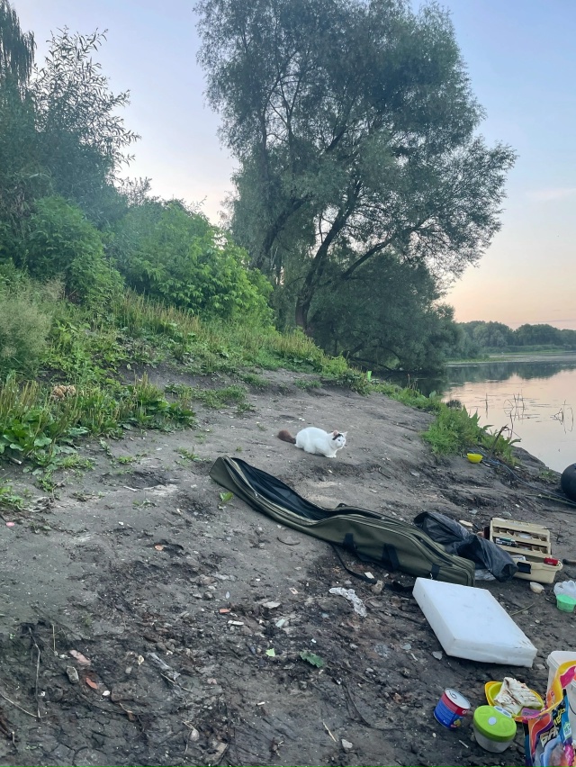 Опытный рыбак 🎣🎣🎣