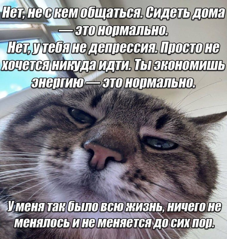 Утренняя подборочка