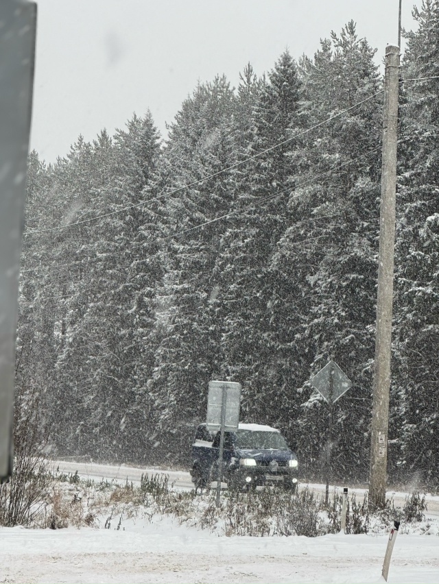 Ну и погодка сегодня 😁
#Я_тебя_видел@podslushano_velsk