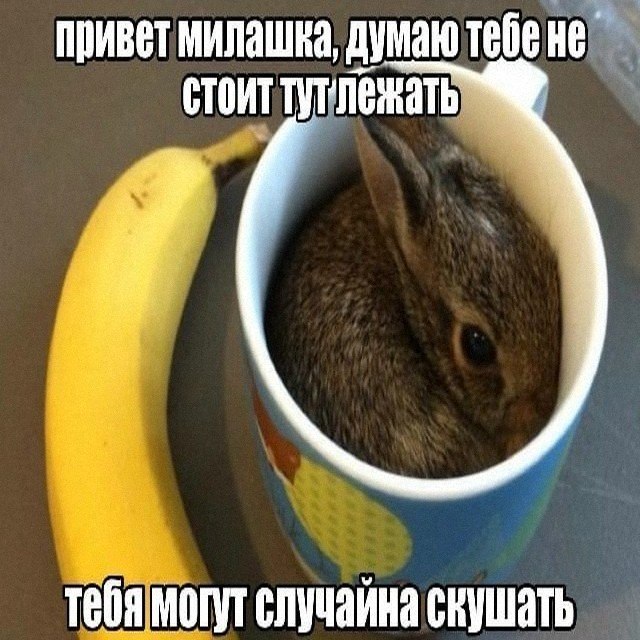 Утренняя подборочка