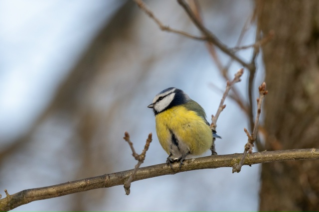 Весна в воздухе — весна в душе 🌱 Фото peterhof_museum