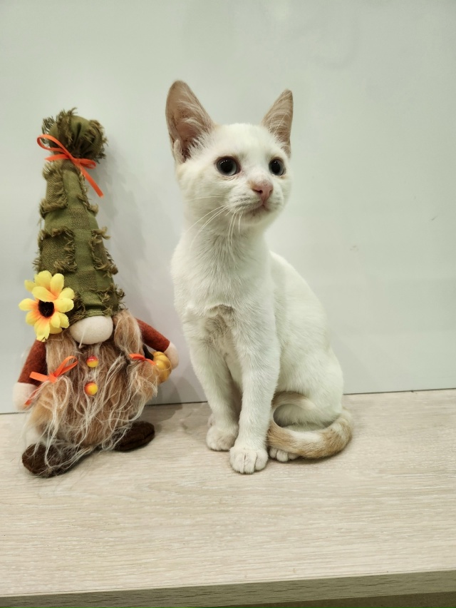 ВОЛГОРЕЧЕНСК ❗
ДВУМ БРАТИКАМ, БИБЕ И БОБЕ ОЧЕНЬ НУЖЕН...