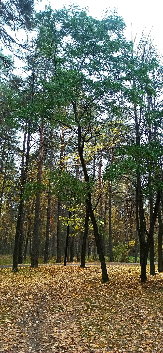 Доброго утра, Никольск❤