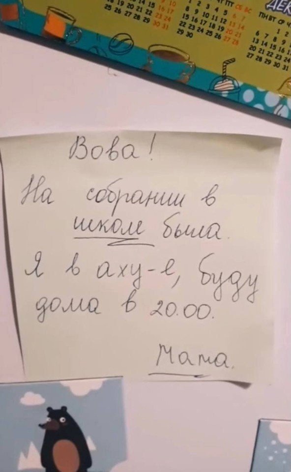Надеюсь, что Вова просто вылизал всю квартиру😅