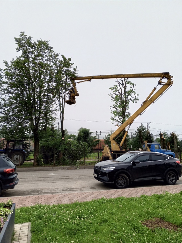 Работа кипит (( Последний островок зелени в центре горо...
